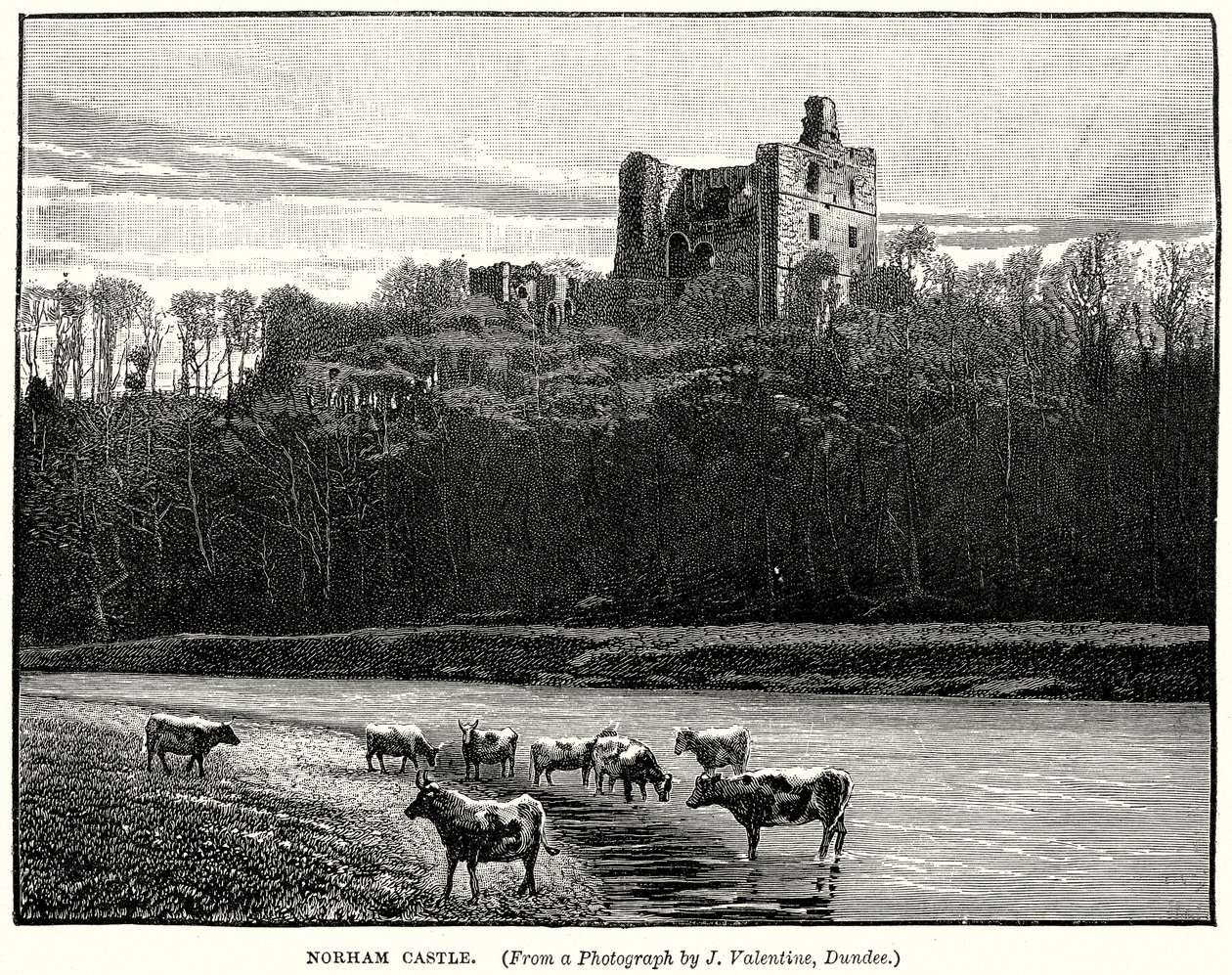 Norham Castle (gravering) af English School
