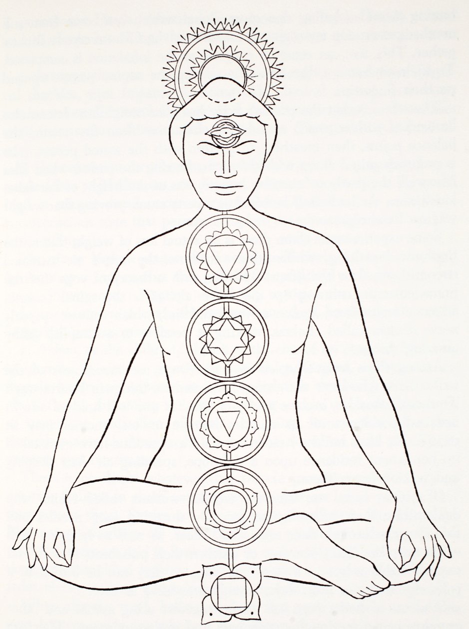 Padmasana eller lotusstilling af English School