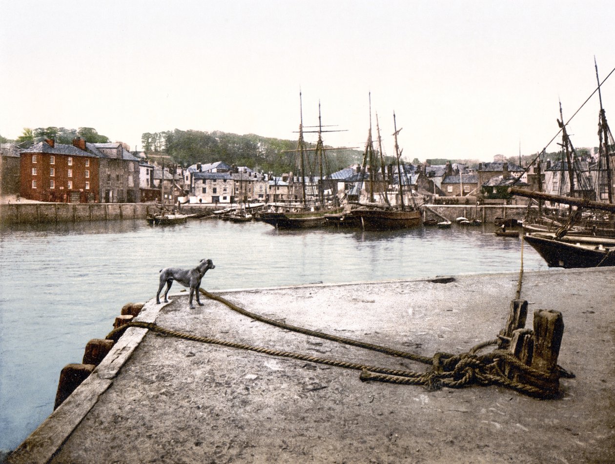 Padstow Quay (håndfarvet foto) af English School