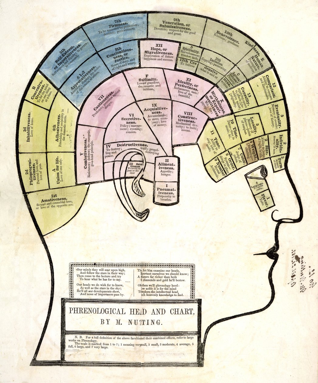 Frenologisk hoved og diagram, pub. 1857 (farve litho) af English School
