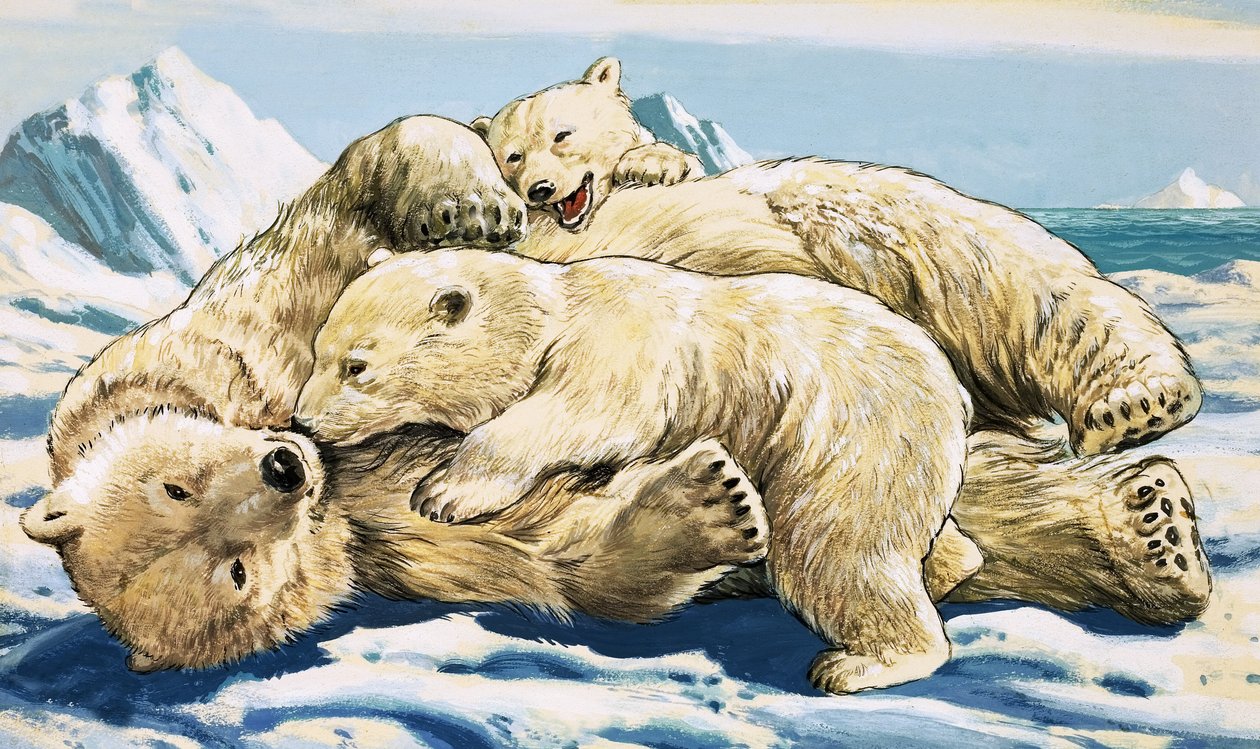 Isbjørn og unger (gouache på papir) af English School