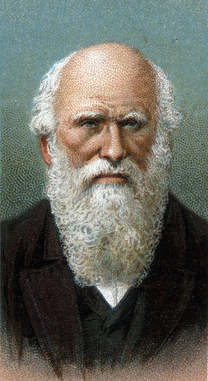 Portræt af Charles Robert Darwin (1809-1882) - Fra serien "" Leaders of Men"" - Chromolithography - English School, 20. århundrede - af English School