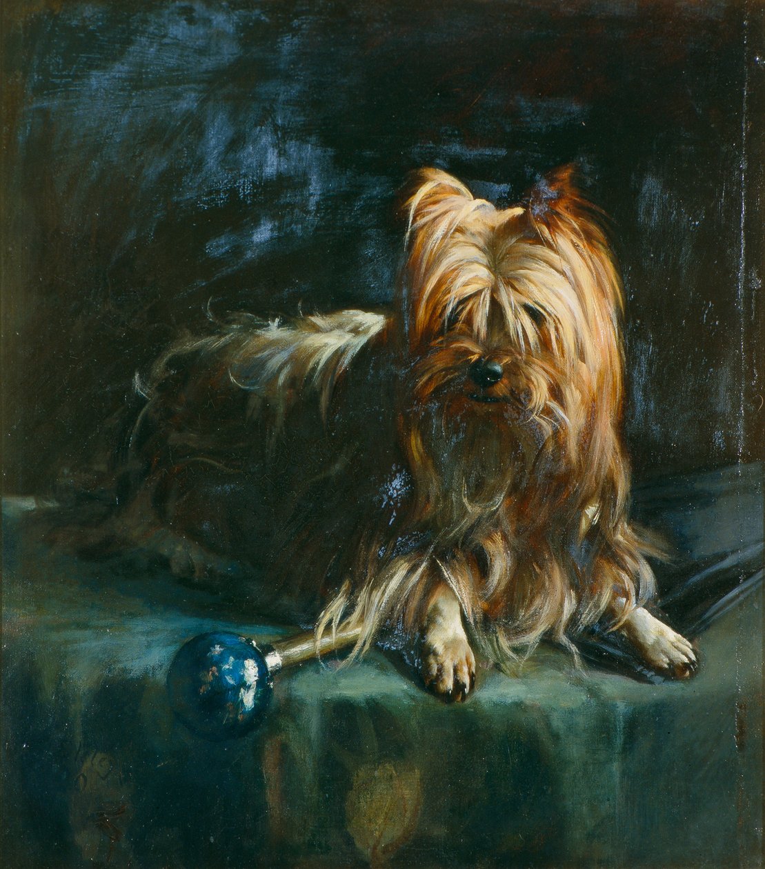 Portræt af Jim; en yorkshire terrier af English School