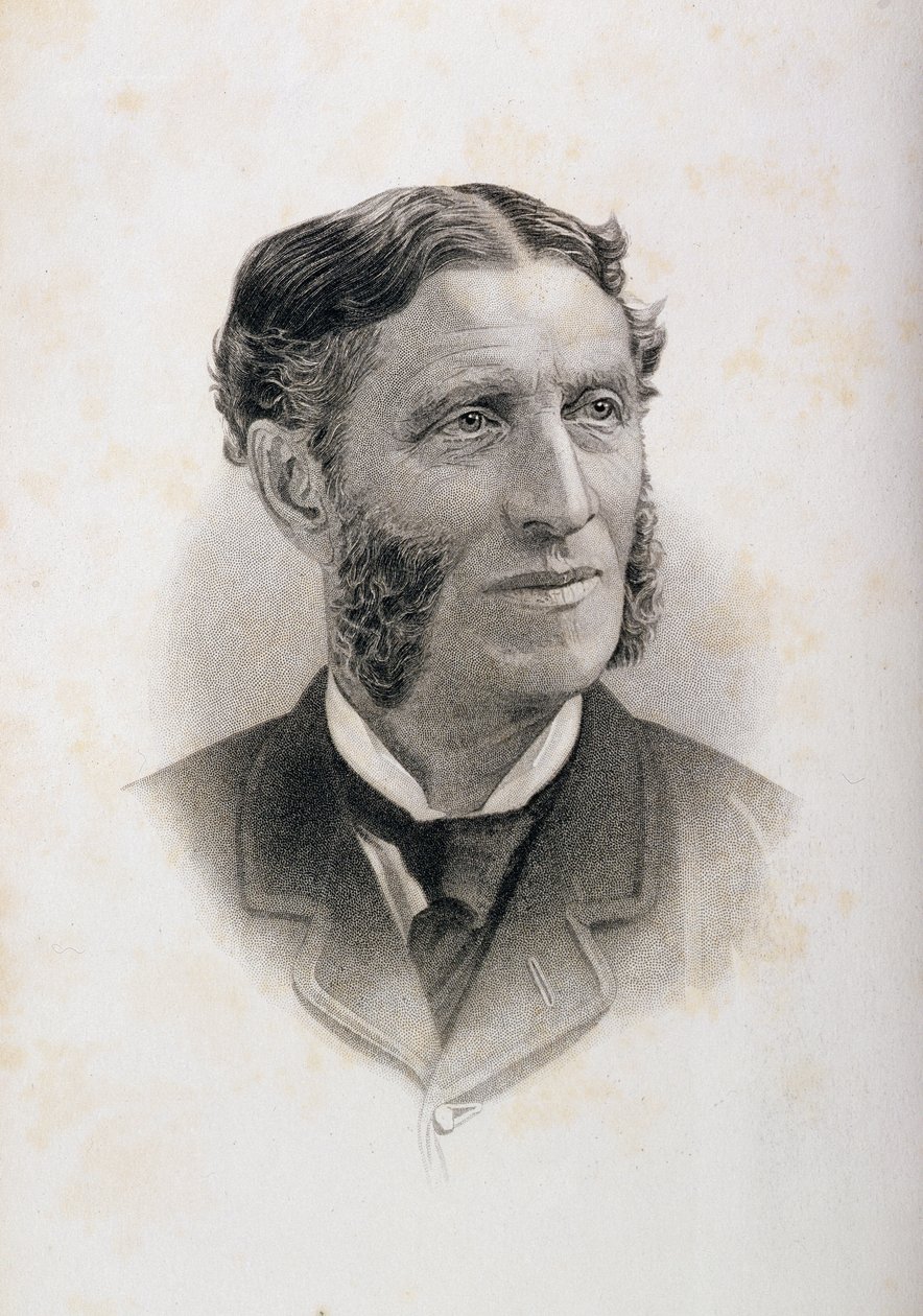 Portræt af Matthew Arnold (1822-88), af English School