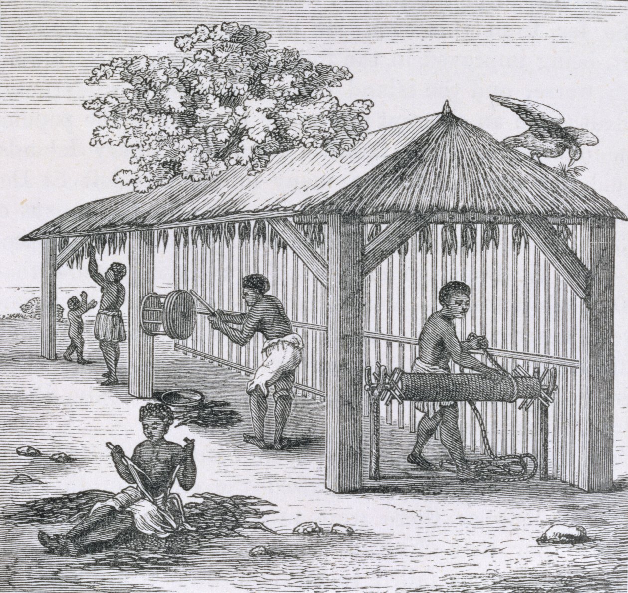 Preparing Tobacco, fra 