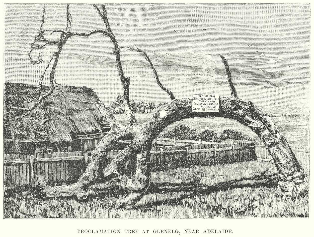 Proklamationstræ ved Glenelg, nær Adelaide (gravering) af English School