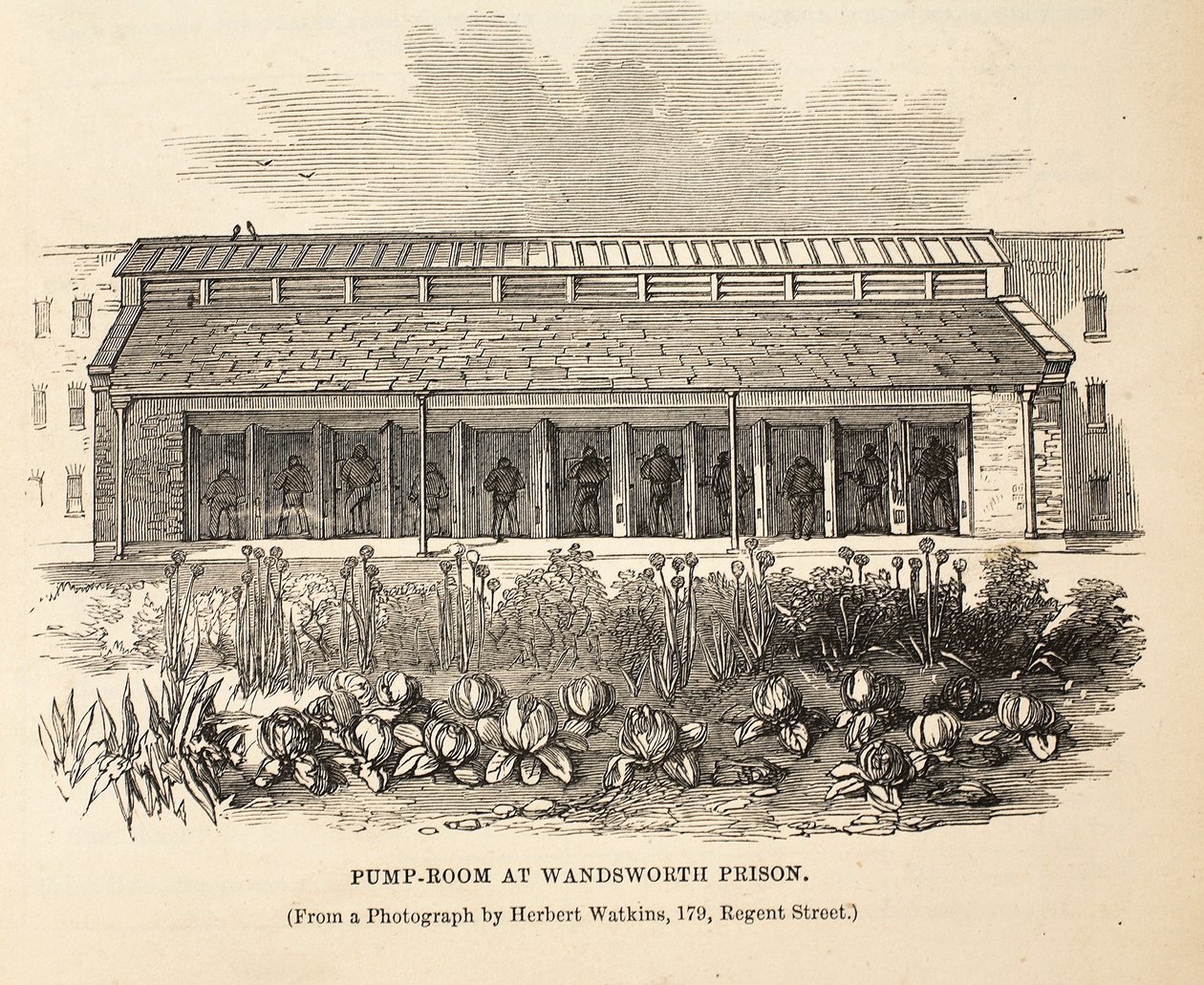 Pumpe-rum i Wandsworth Prison, illustration fra The Criminal Prisons of London og Scenes from Prison Life af Henry Mayhew og John Binny, pub. 1862 af English School