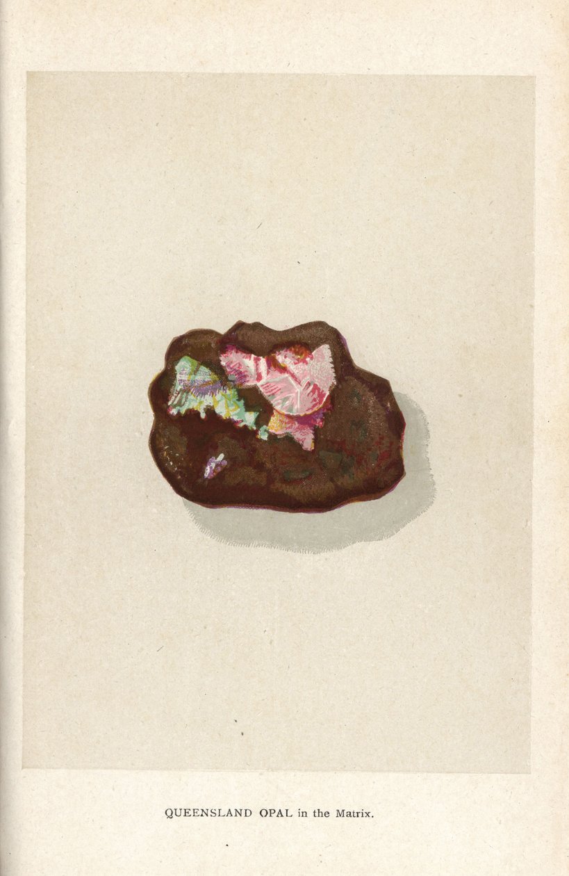 Queensland opal i matrixen, fra Edwin Streeters "Precious Stones and Gems," London, George Bell & Sons af English School