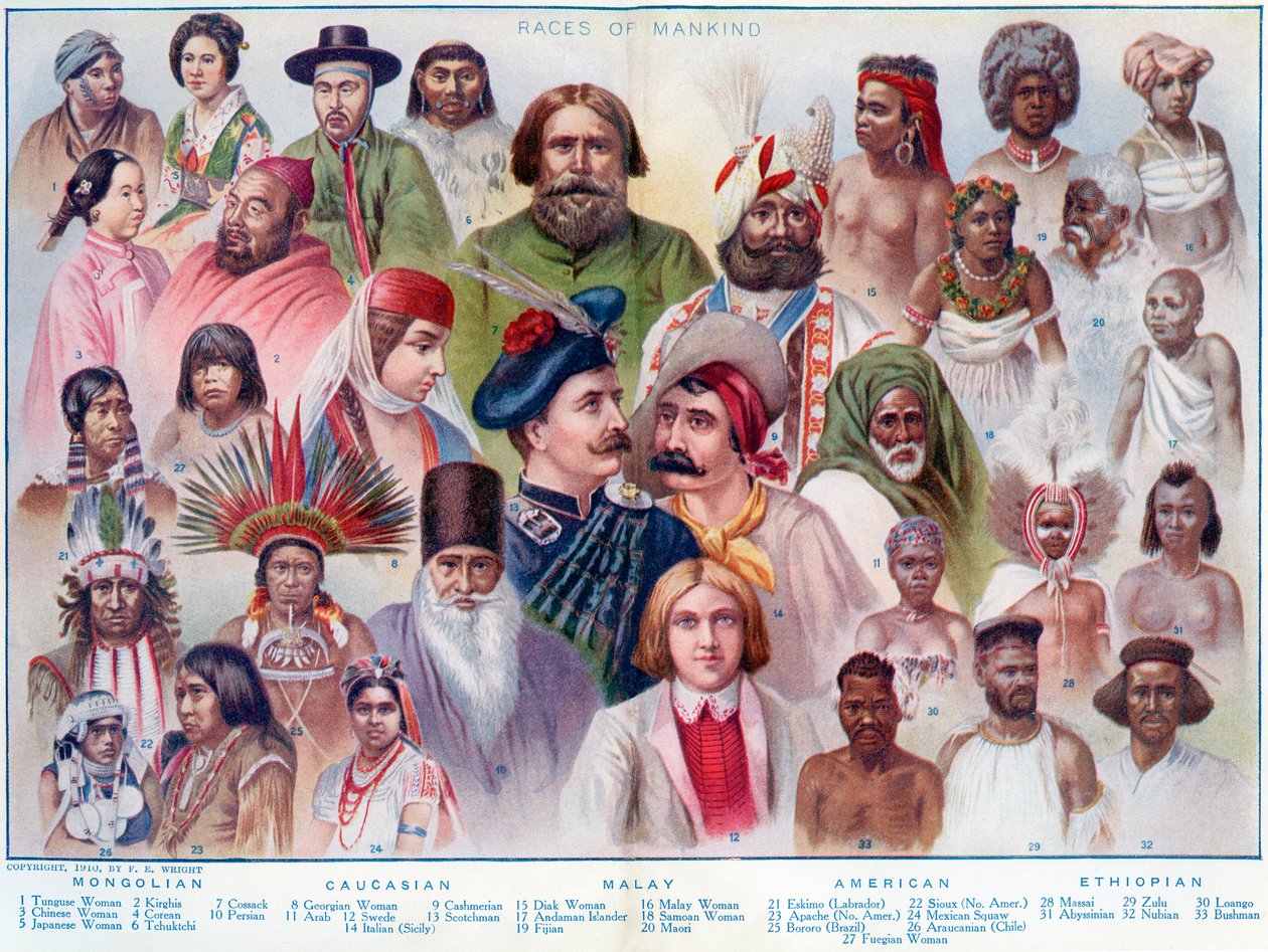 Races of Mankind, fra The British Empire Universities Modern English Illustrated Dictionary, pub.1914 af English School