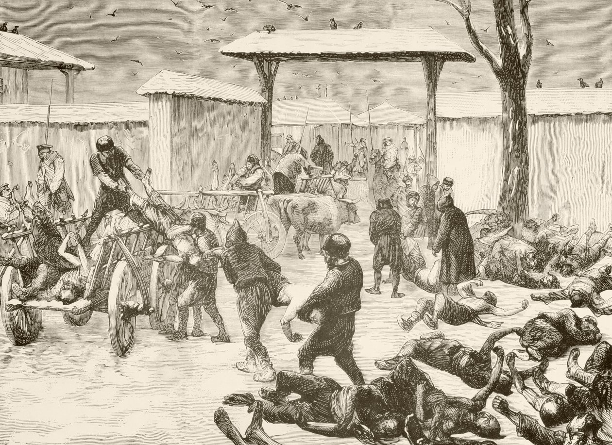 Genvinding af de døde efter belejringen af Plevna, Bulgarien i 1877 (litho) af English School
