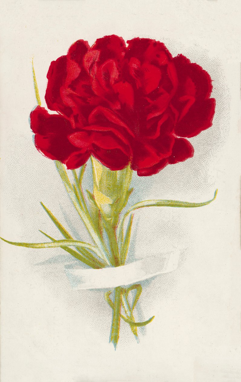 Rød nellike (chromolitho) af English School