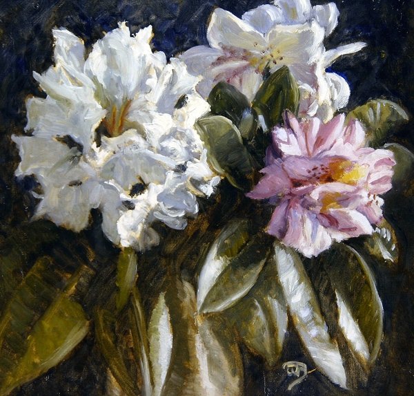 Rhododendron (olie på papir) af English School