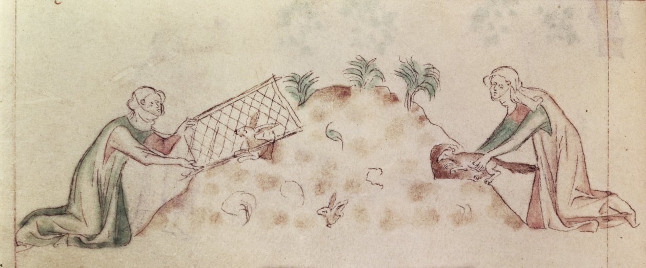Roy 2 B VII f.155v Kvinder, der fanger en kanin med et net og en ilder, fra 