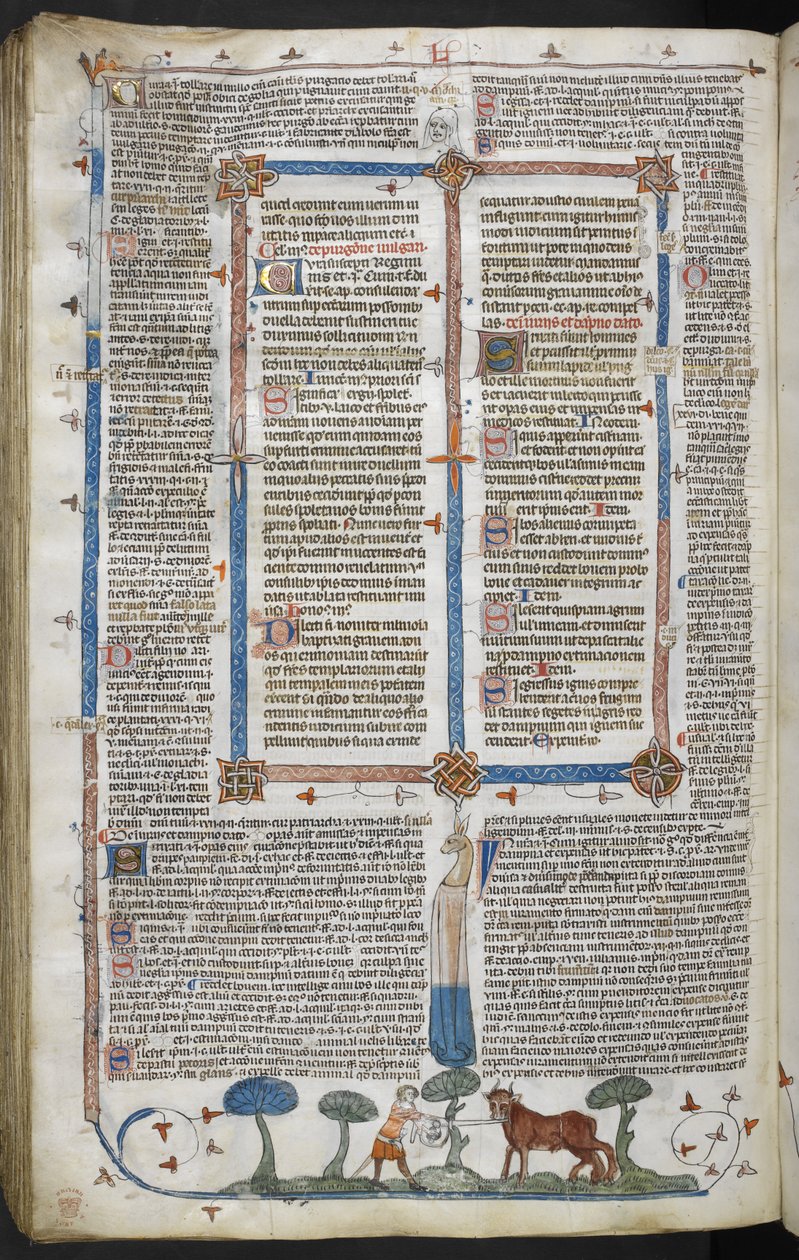 Kongelig 10 E IV fol. 294v Mand angriber en okse, fra Smithfield Decretals (Decretals of Gregory IX) c.1340 (vellum) af English School