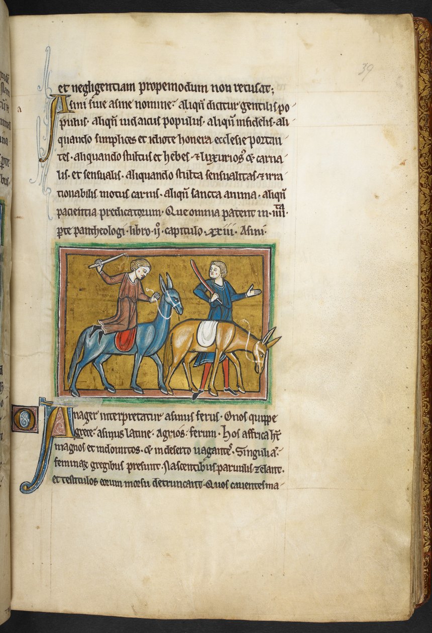 Kongelig 12 F.XIII, f.39   To mænd med to mænd med æsler. , fra Bestiary (ff. 3-141), Lapidary (ff. 141v-149)  , 2. kvartal af det 13. århundrede (vellum) af English School