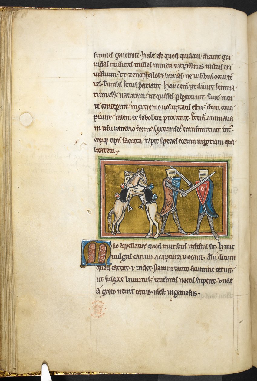 Royal 12 F.XIII, f.42v To riddere kæmper til fods med sværd, mens deres heste kæmper mod hinanden på bagben. , fra Bestiary (ff. 3-141), Lapidary (ff. 141v-149)  , 2. kvartal af det 13. århundrede (vellum) af English School