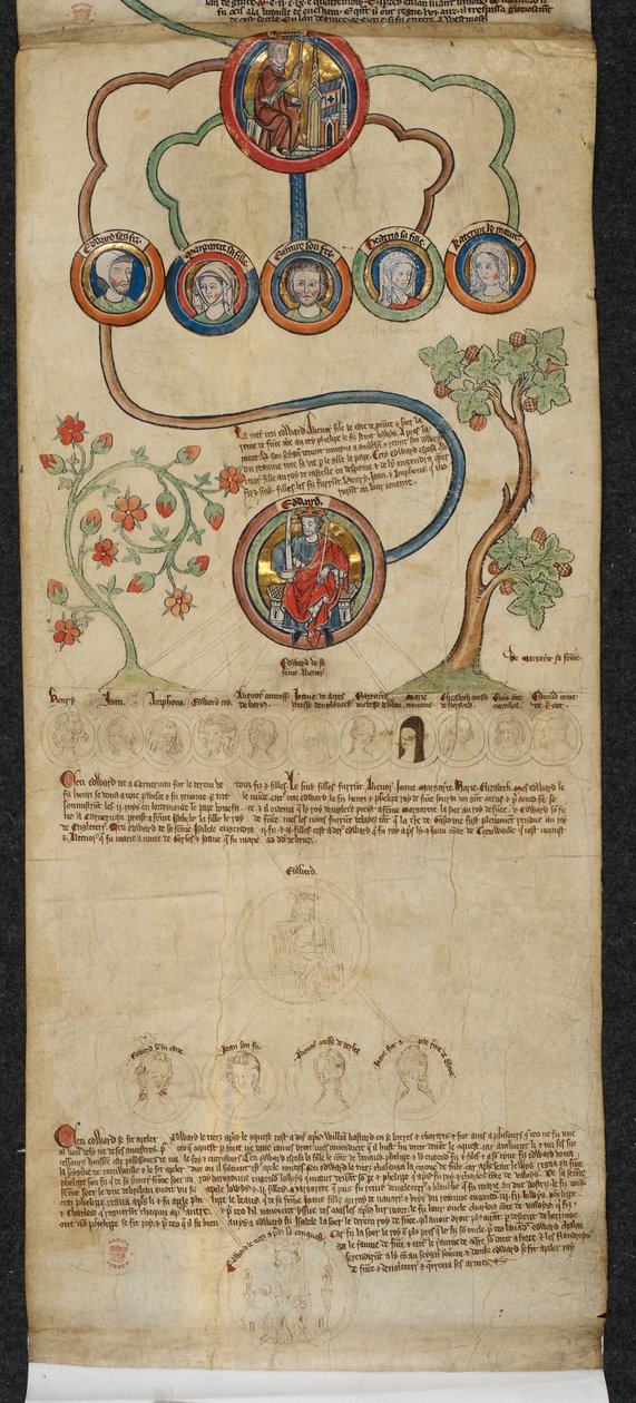 Royal 14 B. VI, membran 7 Den kongelige genealogi fra Henrik III til Edward I med en forlængelse i en anden hånd fra Edward II til Edward III, fra 