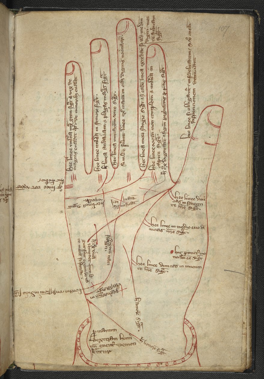 Royal MS 12 C XII f.107r Læsning af hænderne, i en middelalderlig blanding (blæk på vellum) af English School