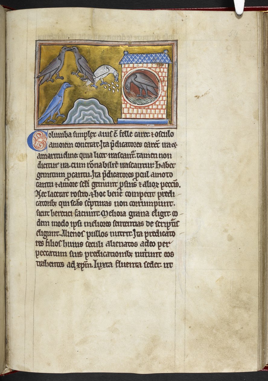 Royal MS 12 C XIX f.54r Doves, fra 