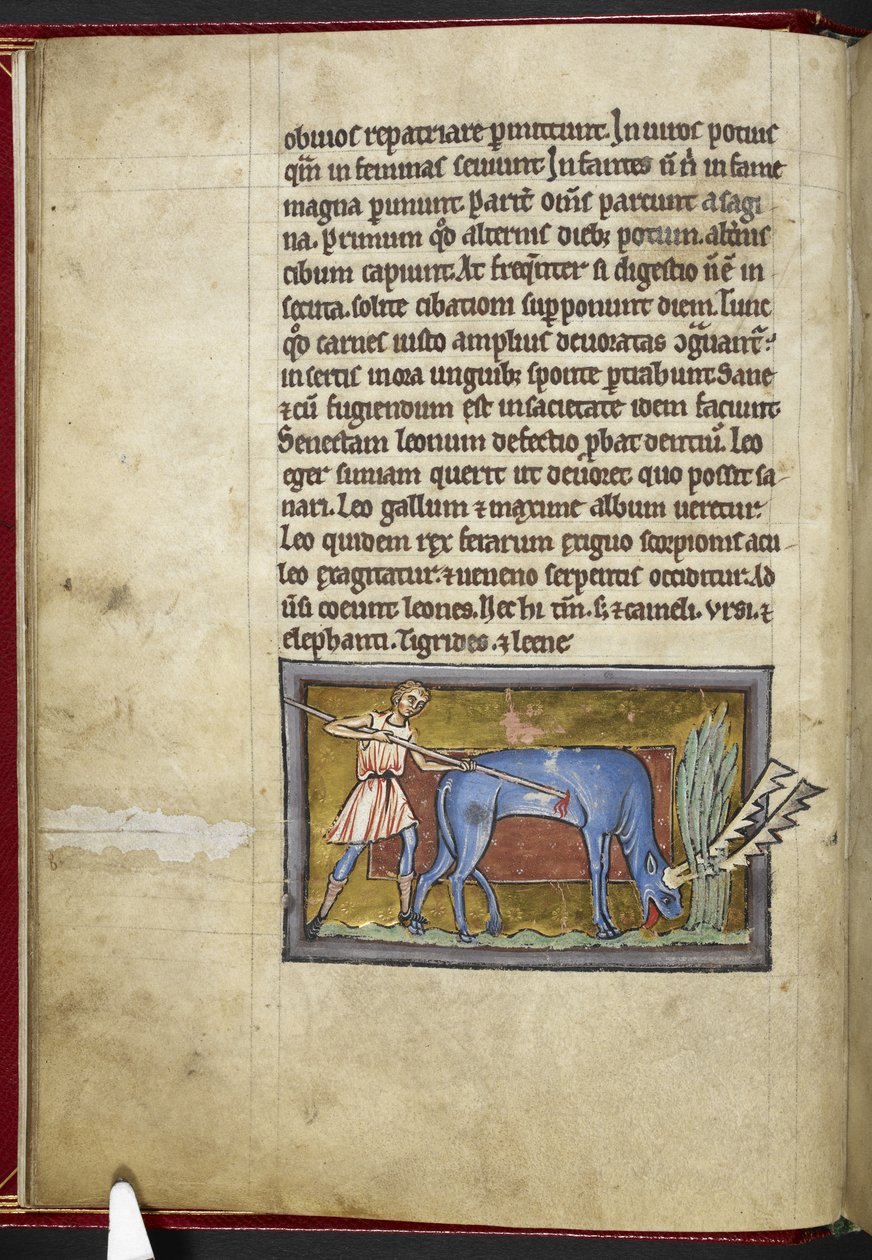 Royal MS 12 C XIX, f.7v Antilope, fra 