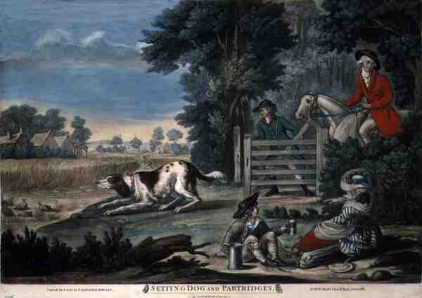 Indstilling Hund og Agerhøns, pub. af Carington Bowles (fl.1744-93) af English School