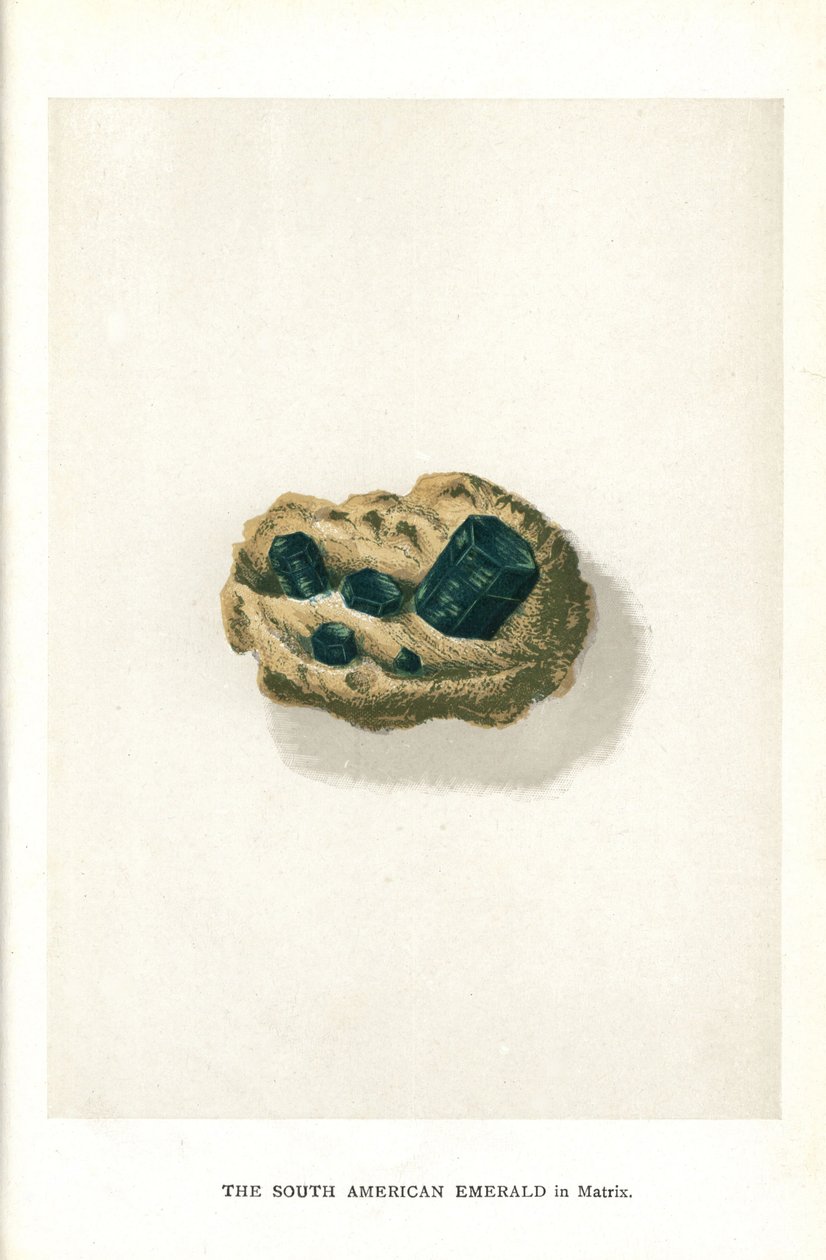 Sydamerikansk smaragd i matrix, fra Edwin Streeters "Precious Stones and Gems," London, George Bell & Sons af English School