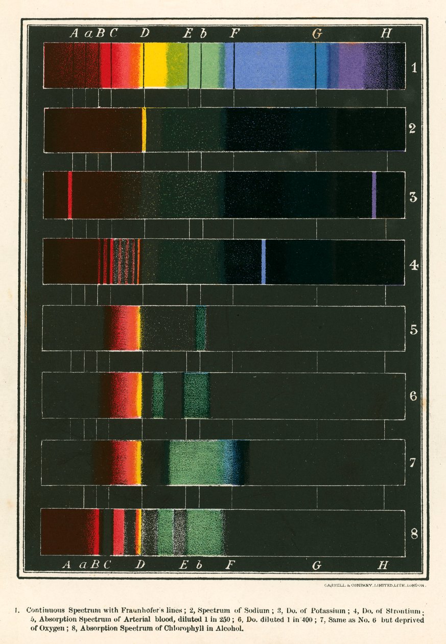 Spectrum (farvelitografi) af English School