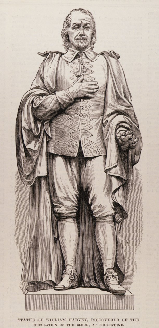 Statue af William Harvey (1578-1657), Discoverer of the Circulation of the Blood, ved Folkestone, fra The Illustrated London News, 13. august 1881 af English School