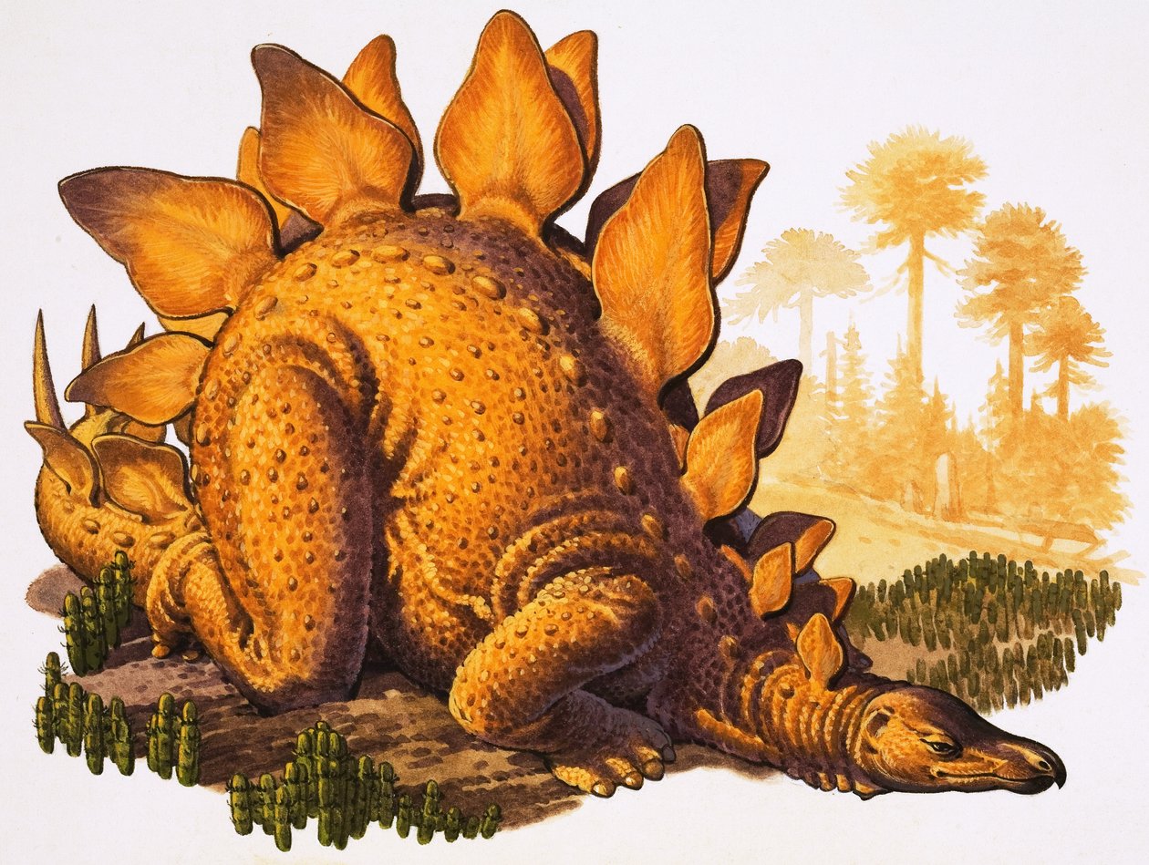 Stegosaurus (gouache på papir) af English School