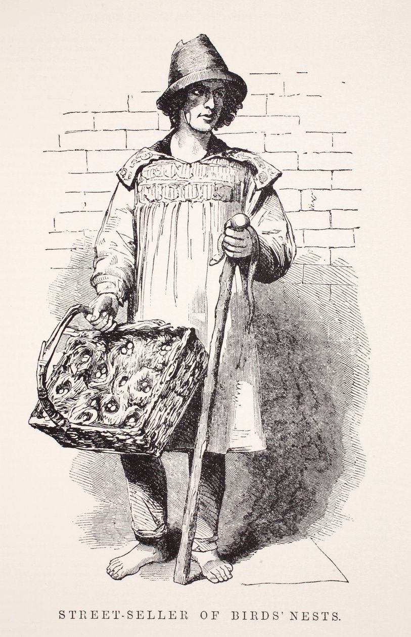 Gadesælger af fuglereder, illustration fra London Labor og London Poor af Henry Mayhew, pub. 1862 af English School