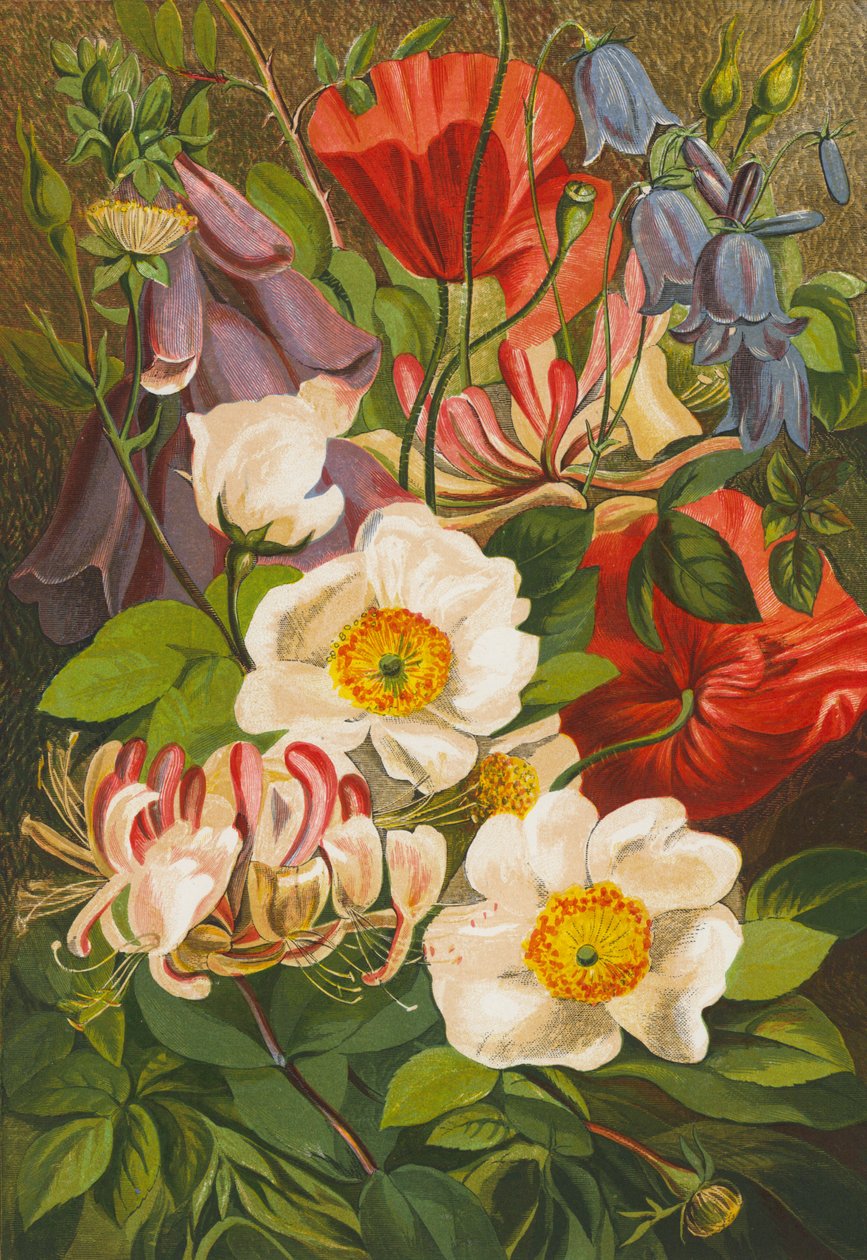 Sommerblomster (farvelitografi) af English School