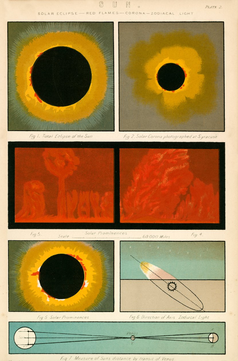 Sol (farvelitografi) af English School