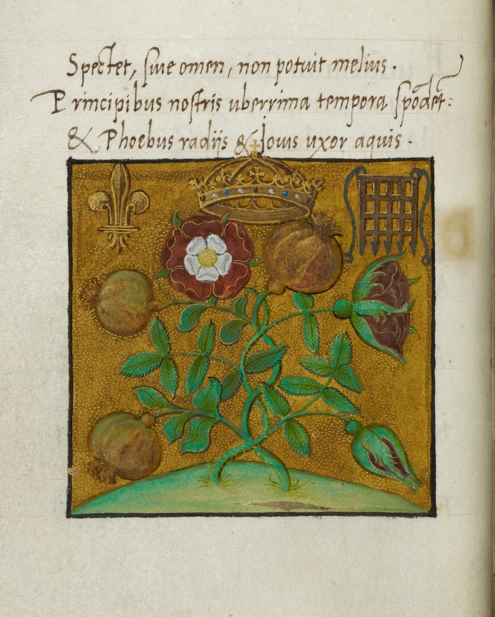 Symboler for royalty, illustration til 