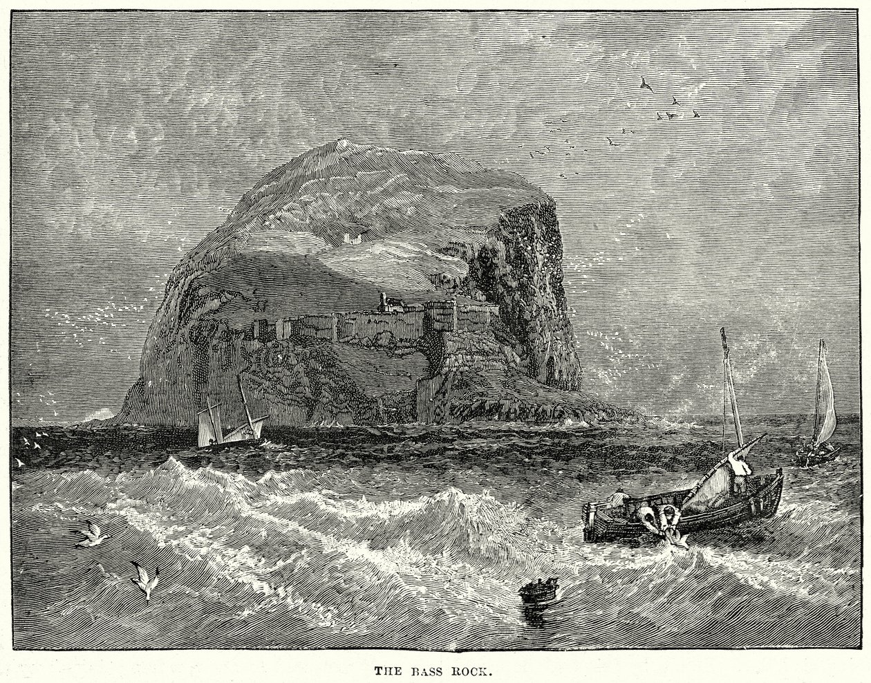 The Bass Rock (gravering) af English School