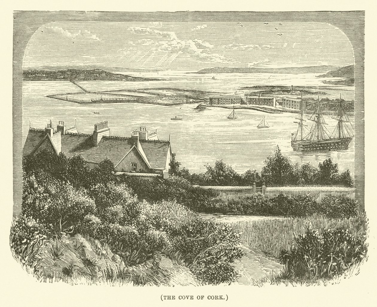 The Cove of Cork (gravering) af English School