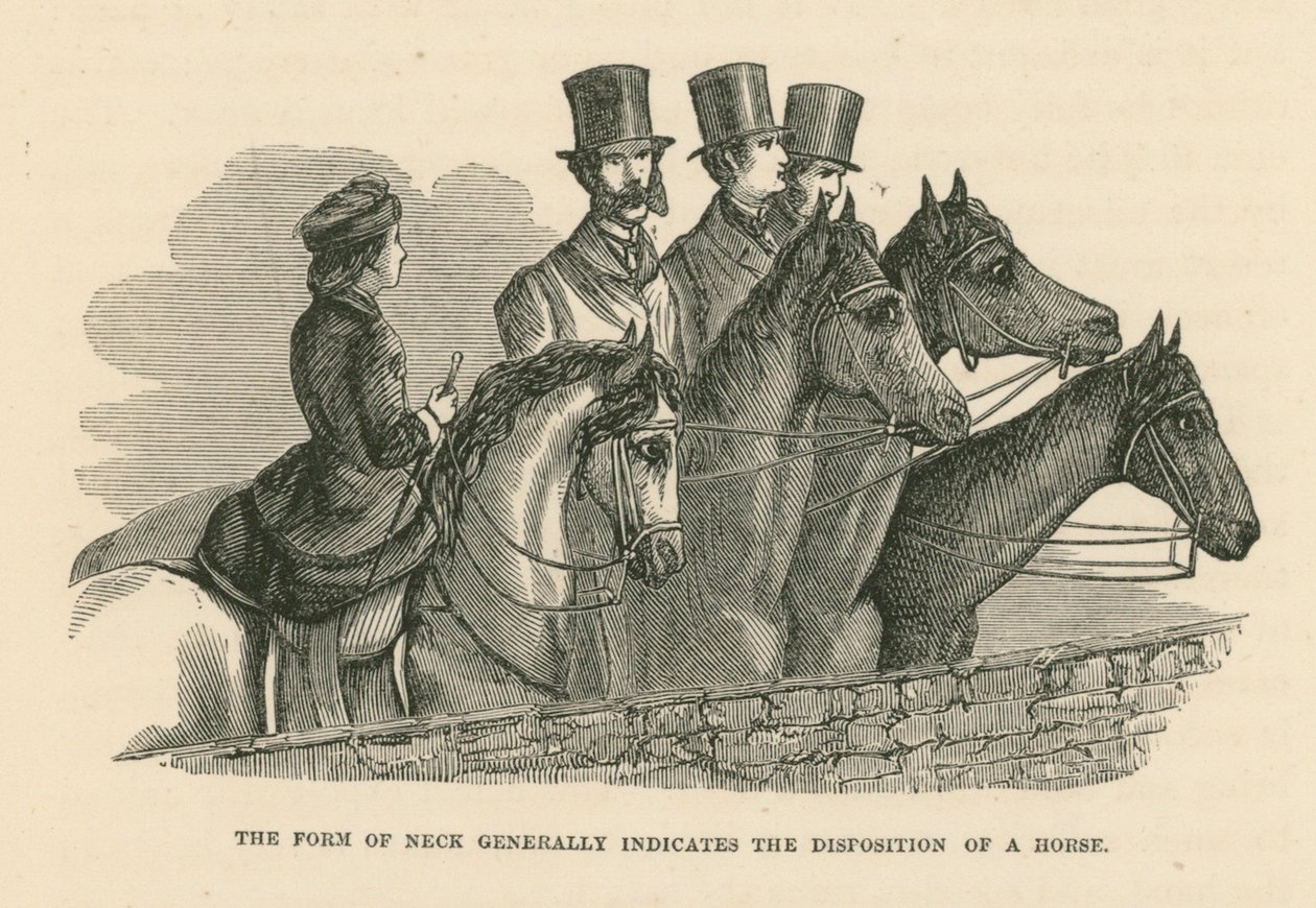 Halsens form indikerer generelt en hests disposition (gravering) af English School