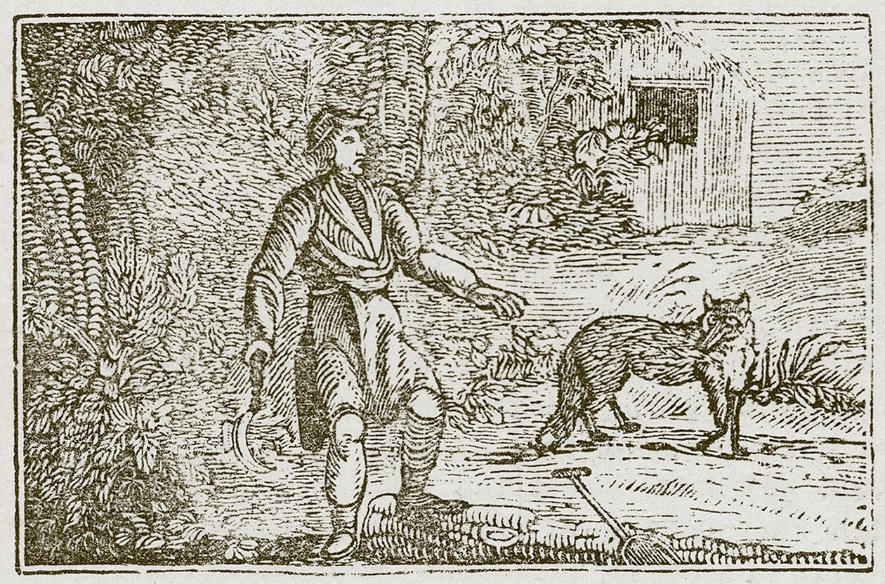 Ræven og bonden (kobberstik) af English School