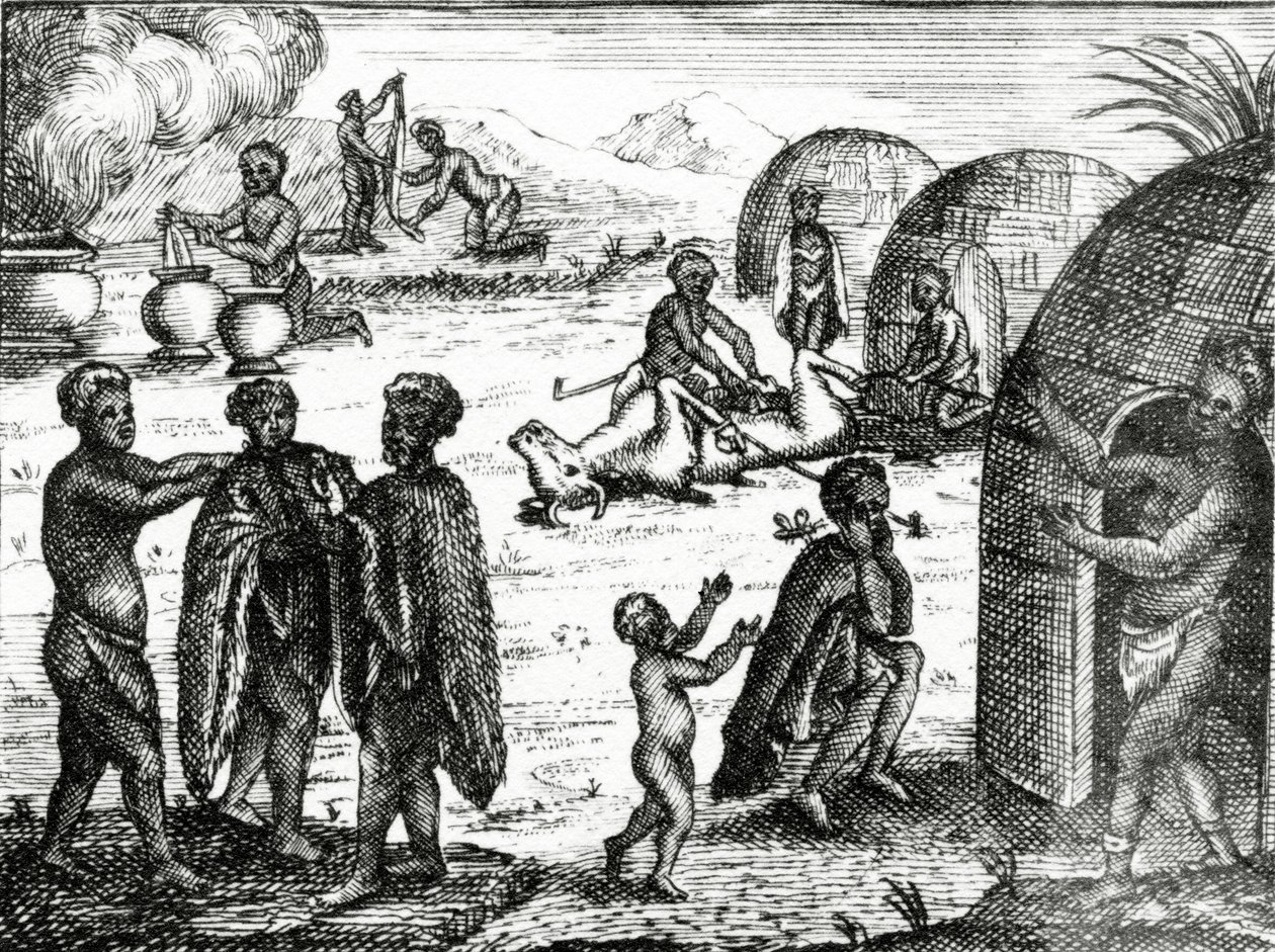 Hottentoterne forguder et bestemt insekt, illustration fra 