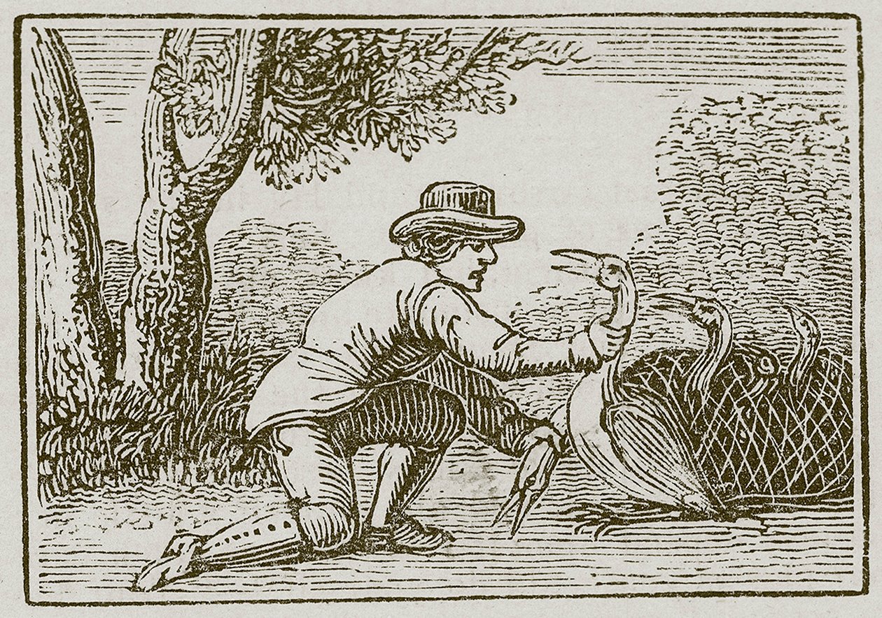 Husmanden og storken (kobberstik) af English School