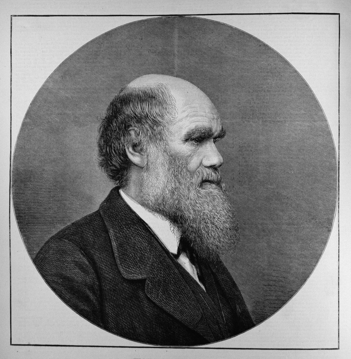 The Late Mr C. R. Darwin, FRS, LLD, fra The Illustrated London News, 29. april 1882 af English School