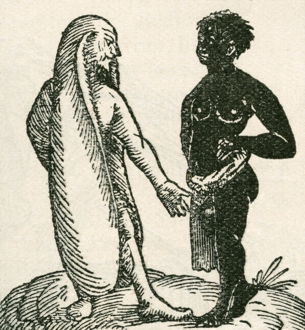 Den langørede mand skælder ud på sin tjener. Langørede mænd siges at bo i Afrika. Man sagde, at de sov liggende på det ene øre, mens det andet dækkede dem som et tæppe. Fra The Strand Magazine udgivet 1897. af English School