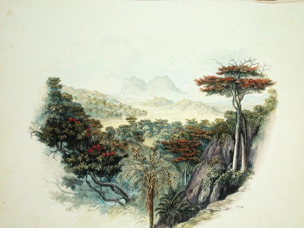 Bjergene, Ceylon (akvarel på papir) af English School