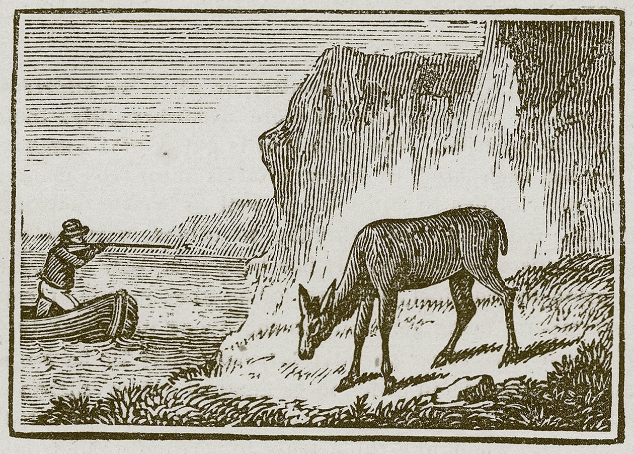 Den enøjede hind (gravering) af English School