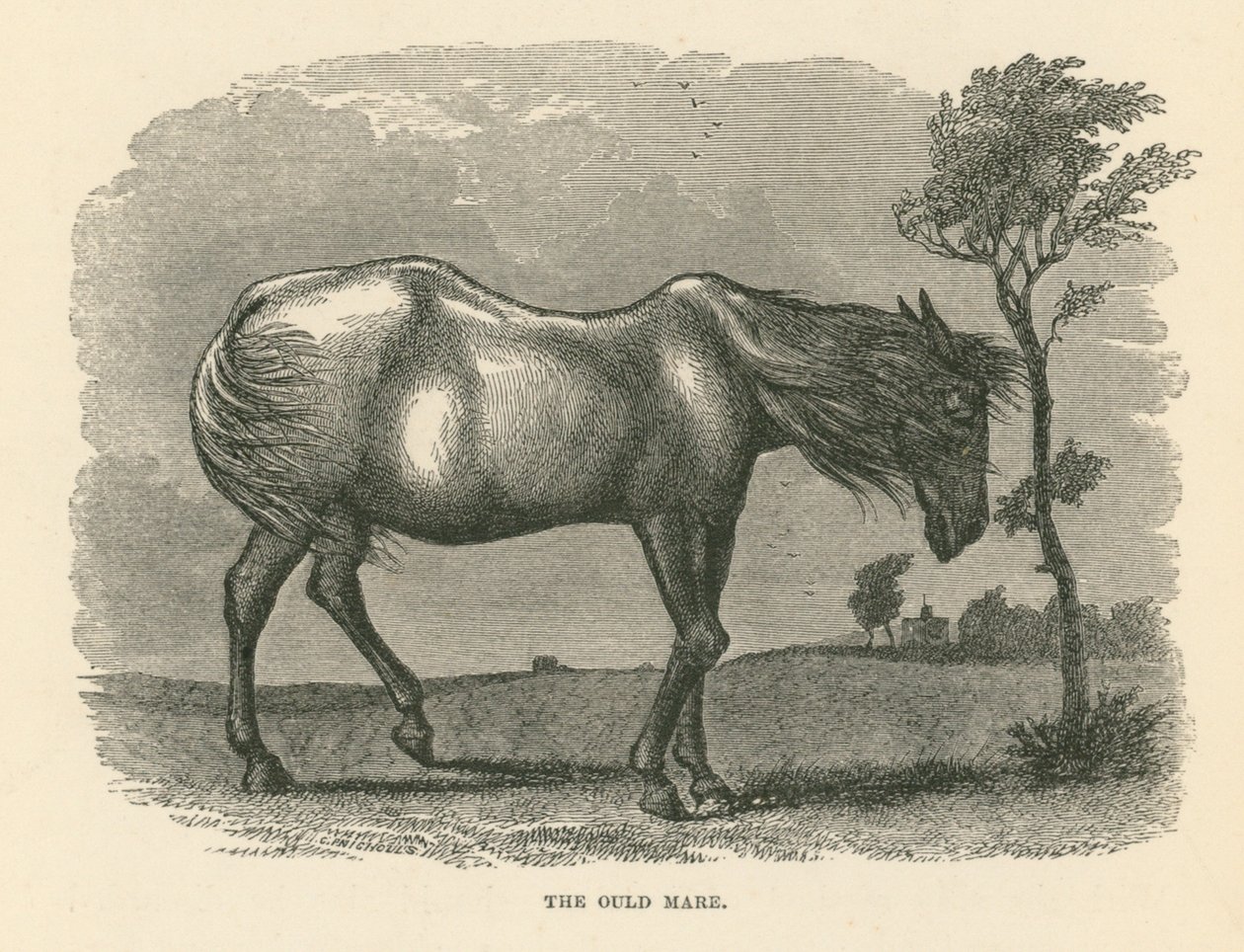 The Ould Mare (gravering) af English School