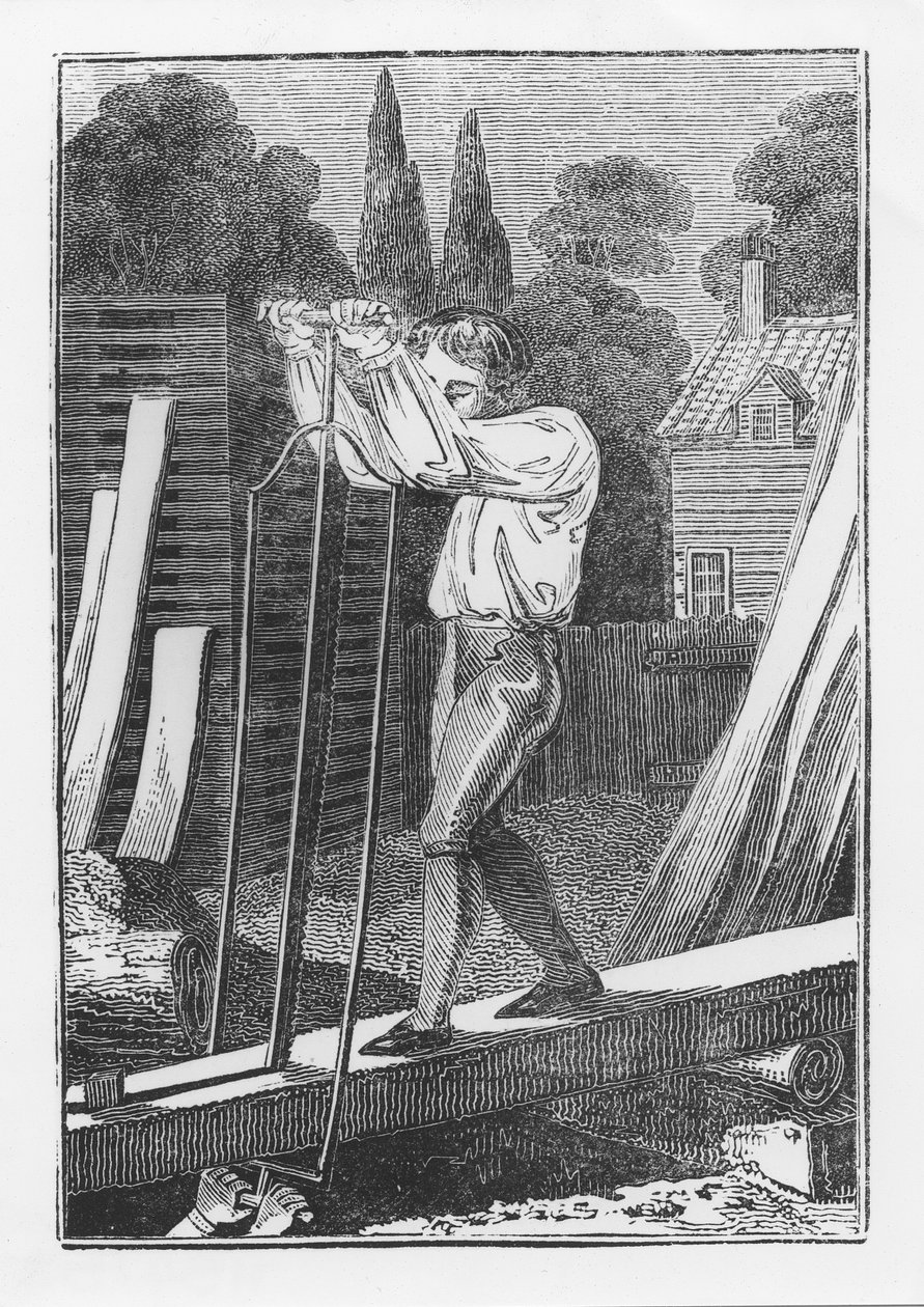 The Sawyer, fra The Young Tradesman eller Book of English Trades, 1839 af English School