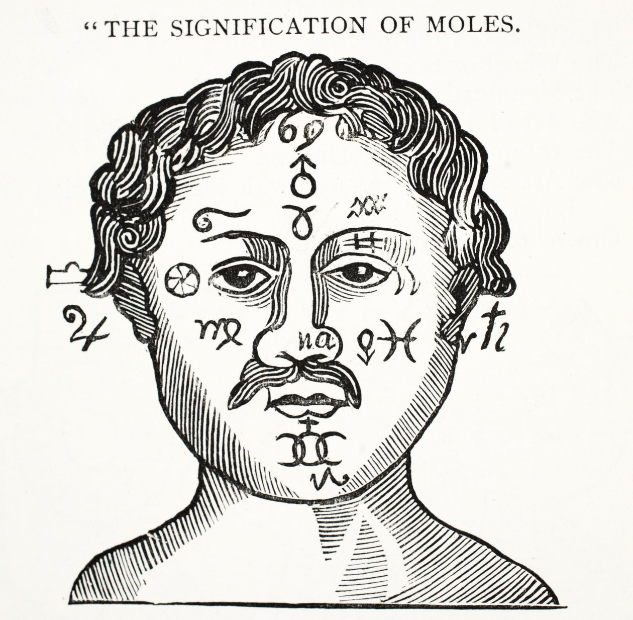 The Signification of Moles, illustration fra Chap-books of the Eighteenth Century af John Ashton, pub. 1882 af English School
