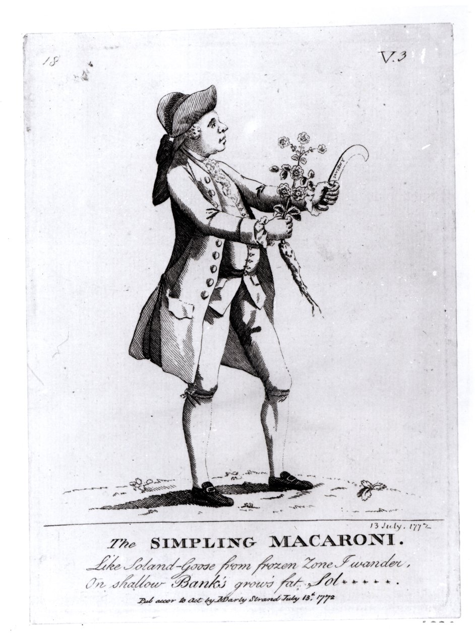 The Simple Macaroni, pub. af N. Darly, 13. juli 1772 (gravering) (bw-foto) af English School