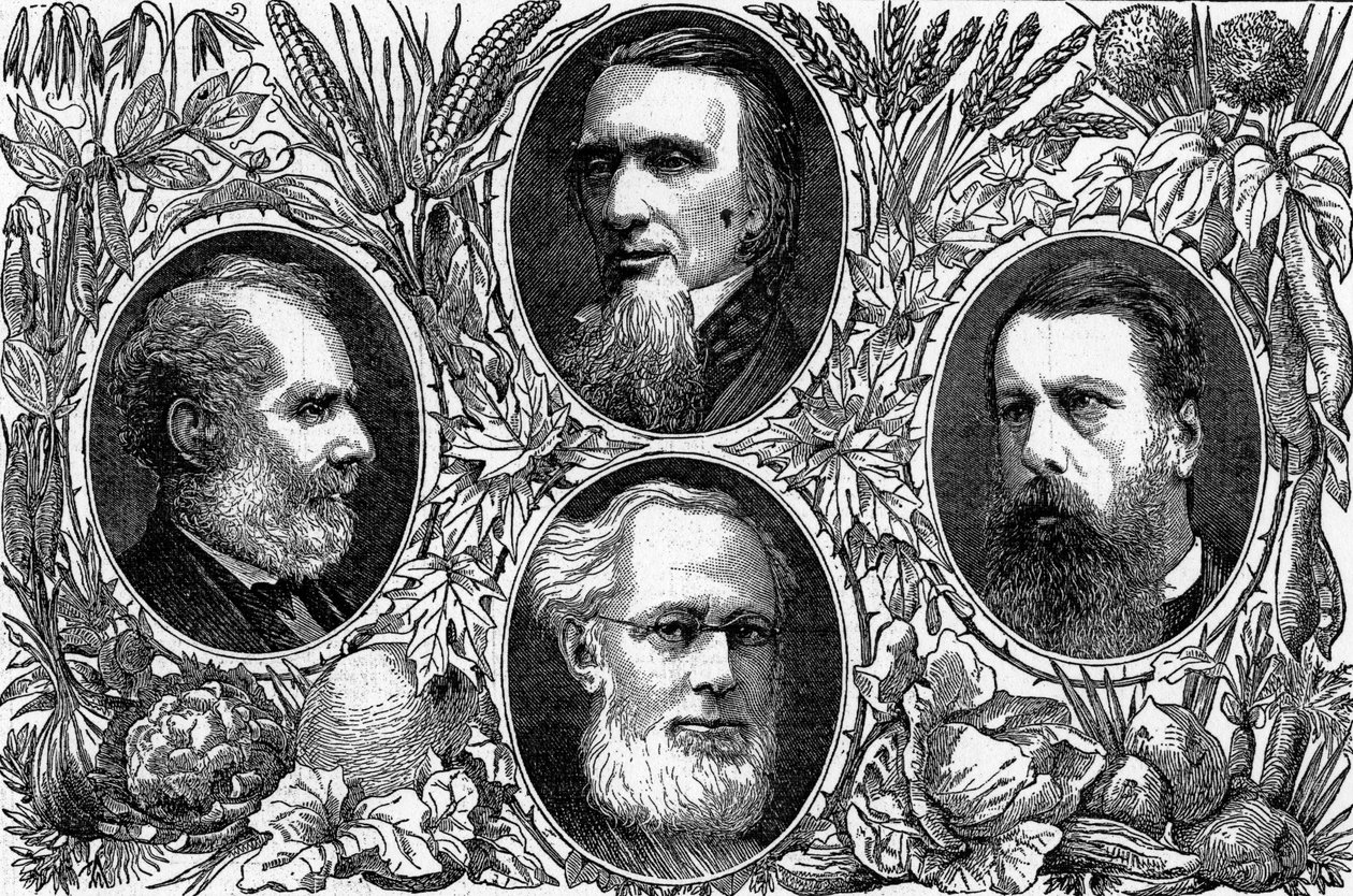 The Vegetarian System - Nogle førende medlemmer af Vegetarian Society, offentliggjort i The Graphic, 1874 af English School