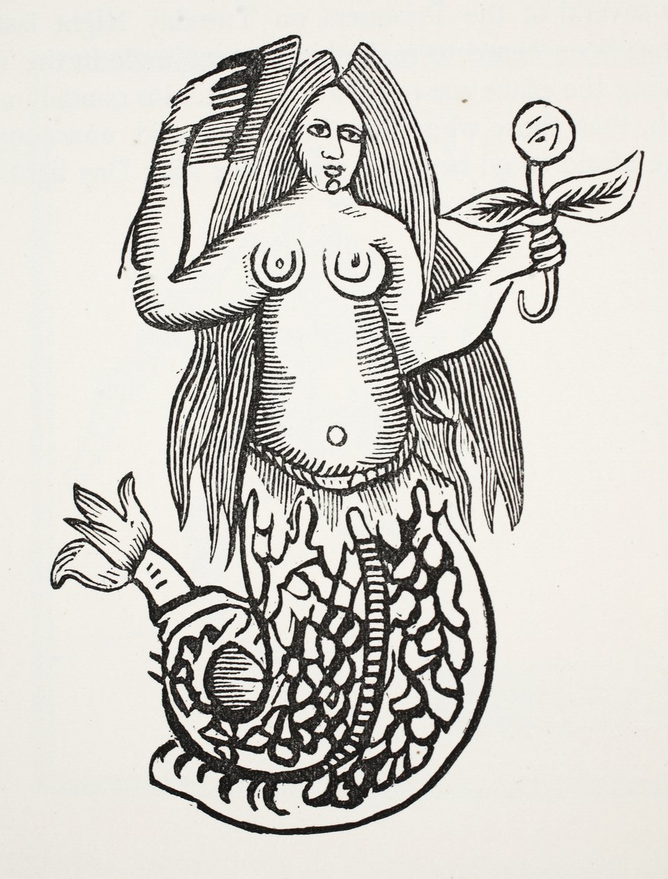 Wonder of Wonders, illustration fra Chap-books of the Eighteenth Century af John Ashton, pub. 1882 af English School