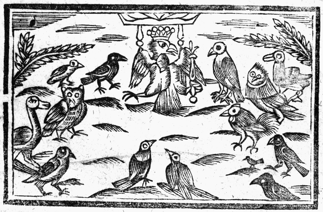 The Woody Choristers eller The Birds Harmony, en illustration fra 